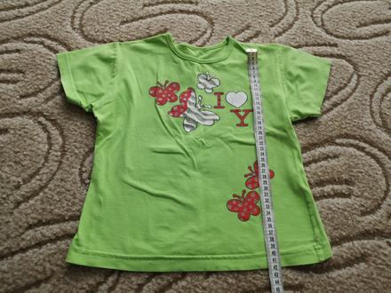 Zelené tričko, 110