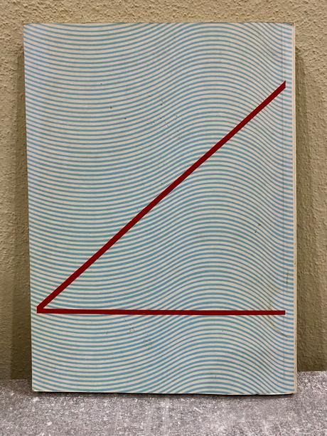 Kniha- pozvání do sociologie,