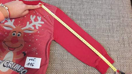 Mikina-tricko, rebel,116