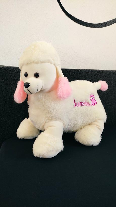 Plyšový psík, 