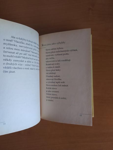 Prežiť rok s láskou, 