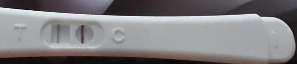 Je možné, že som tehotná?