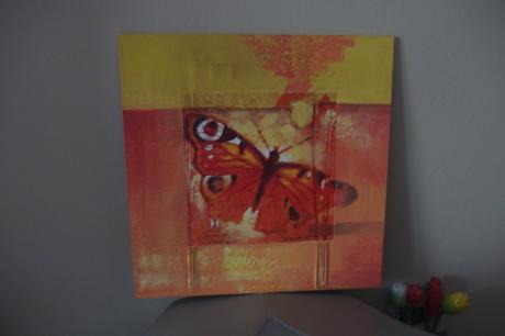 Motýl obraz, 