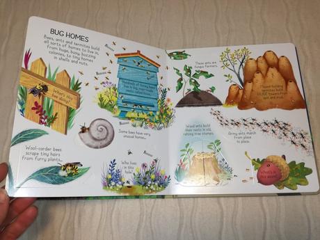 Usborne look inside animal homes nau22,