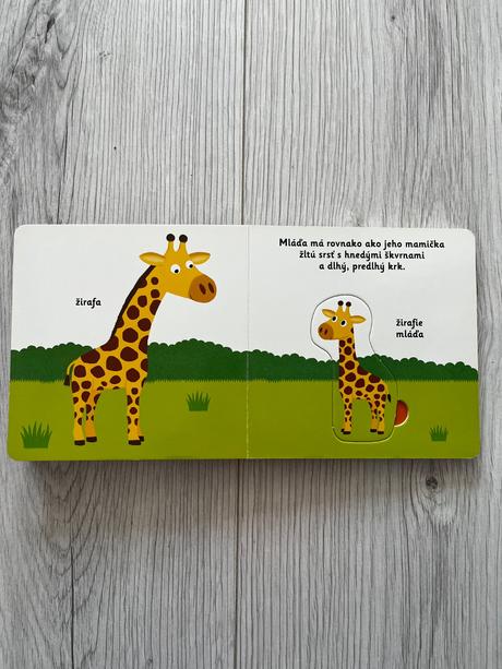 (minipédia) moja prvá skladačka,