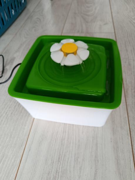 Fontána pre mačky, 