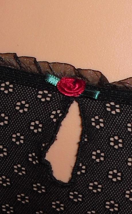 Romanticke nohavicky s ruzickou, s