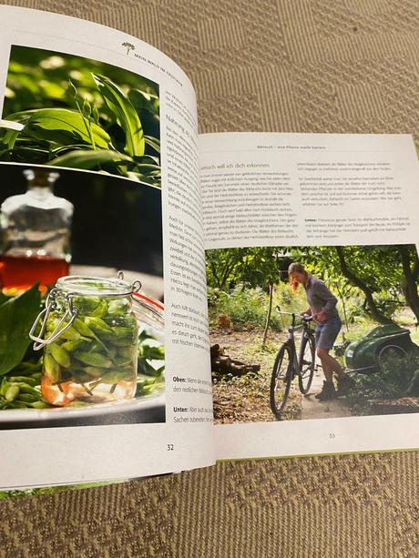 Das geheime wissen der waldfrau vom finden,