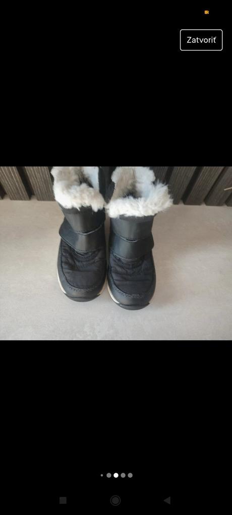 Snehule sorel, sorel,28
