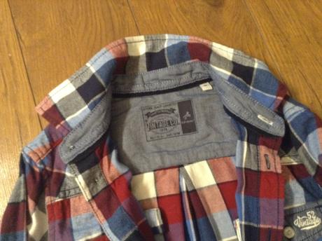 Kosela, palomino,110