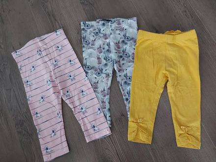 Legínky, coccodrillo,80