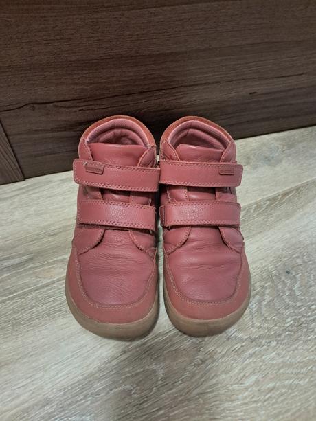 Protetika, protetika,33