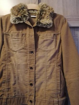 Mencestrova bundička biaggini, 38