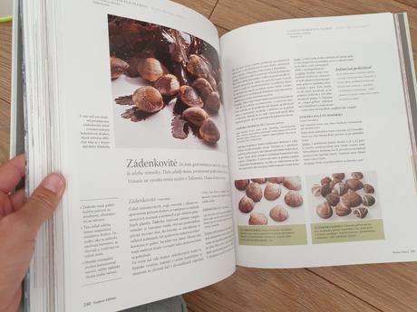 Ryby a morské plody,