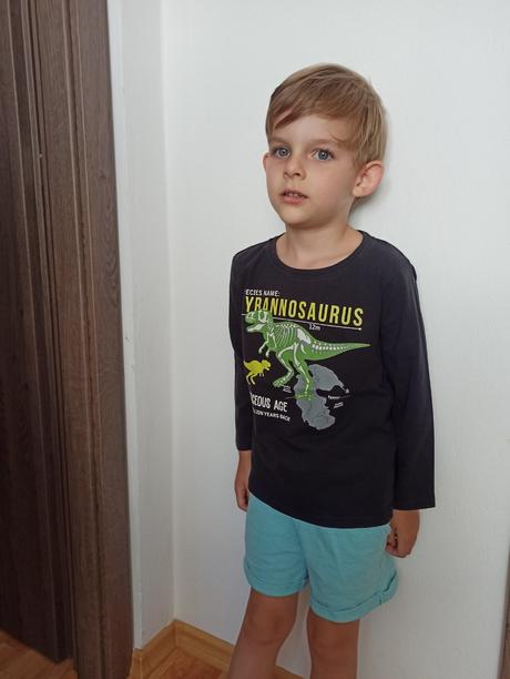 Mikina a tričká dino 110/116, h&m,110