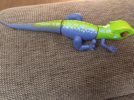 Chodiaca jašterica, 