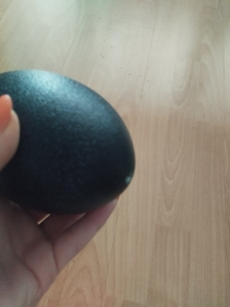 Prazdne pštrosie vajce, 