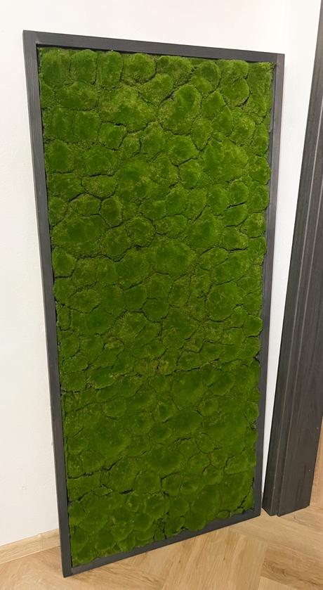 Machovy obraz 170x80,