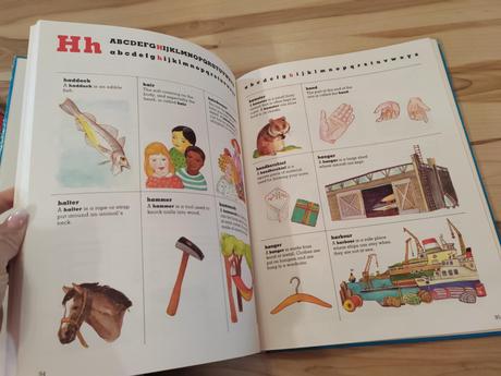 Môj prvý anglický slovník, 