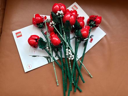 Lego ruže, 