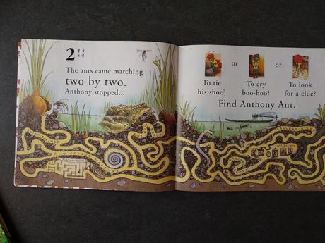 Kniha find anthony ant,