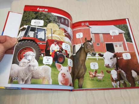 My first book of spanish words  njul18, 