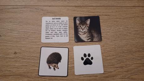 Kartove montessori aktivity, 