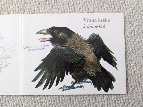 Medzi vtákmi leporelo, 