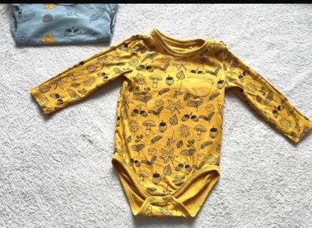 Jesenne body, reserved,68
