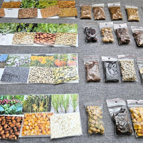 Zalaminované detské aktivity, zvukové pexeso,..., 