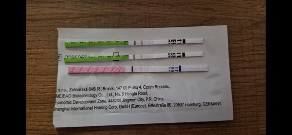 Kedy sa objednať k lekárovi po pozitívnom tehotenskom teste?