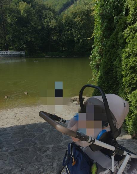 Colleto verona avangard, coletto,coletto verona