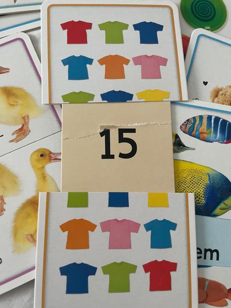 Cisla - naucne karticky, 