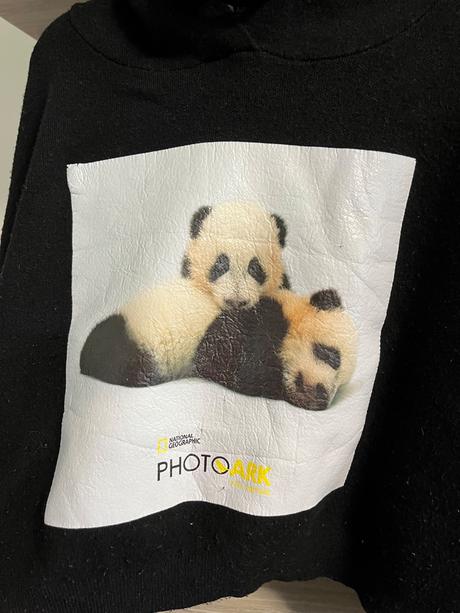 Crop svetrik national geographic, zara,s