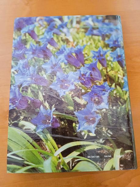 Jeseň v záhrade (1982), 