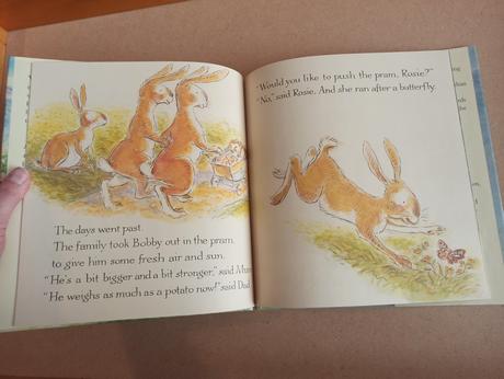 Margaret wild rosie and tortoise hb,