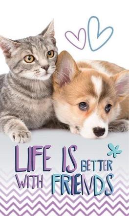 Detský uterák priatelia 50/30,