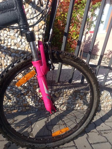 Dievčensky bicykel, 24