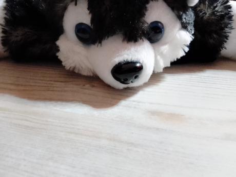 Plyšové vankúšiky psíky, 