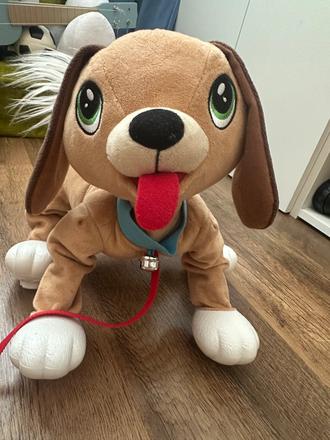 Skakajuci pes floopy, 