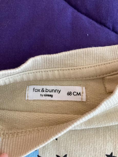 Súprava tepláky a mikina, fox & bunny,68