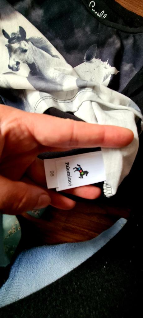 Topik s konikmi, palomino,98