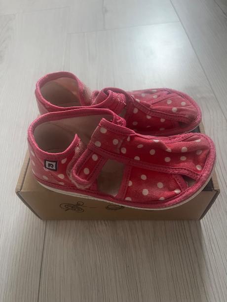 Rak papučky, rak,26