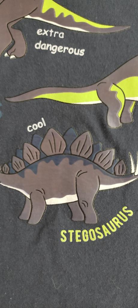 Chlapčenské tričko, kiki&koko,110