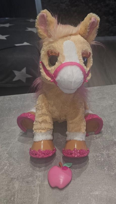 Interaktivny koník, 