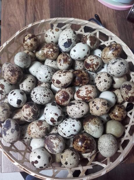 Prepeličie vajička,