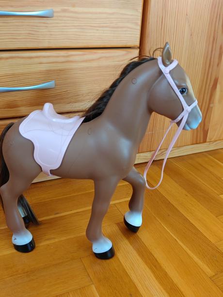 Konik,
