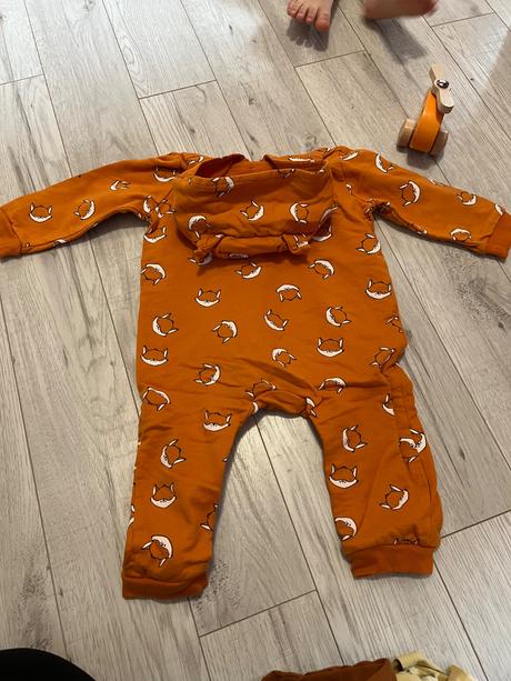 Overal líška, sinsay,86