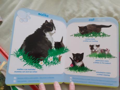 Prvé knižky angličtina 5x, 