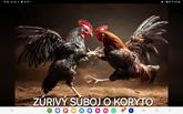 Mená si dosaďte sami,kto sleduje dianie okolo Tarabu,ten vie....
Len skoda,že popri tých žabomyších vojnách uplne zabudli,že sedia vo funkciach pre ľudí,nie pre svoje kšefty.
